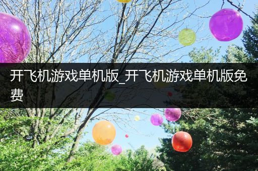 开飞机游戏单机版_开飞机游戏单机版免费