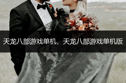 天龙八部游戏单机，天龙八部游戏单机版