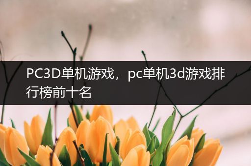 PC3D单机游戏，pc单机3d游戏排行榜前十名