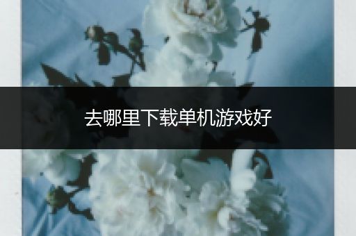 去哪里下载单机游戏好