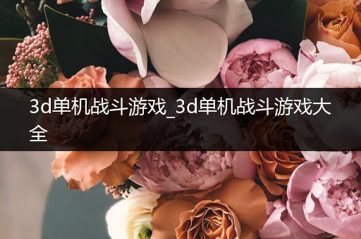 3d单机战斗游戏_3d单机战斗游戏大全