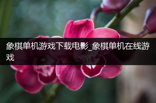 象棋单机游戏下载电影_象棋单机在线游戏