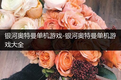 银河奥特曼单机游戏-银河奥特曼单机游戏大全
