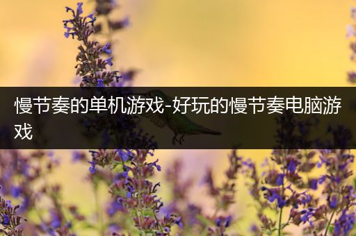 慢节奏的单机游戏-好玩的慢节奏电脑游戏