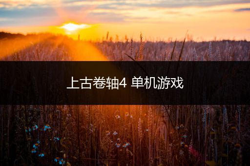 上古卷轴4 单机游戏