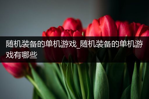 随机装备的单机游戏_随机装备的单机游戏有哪些