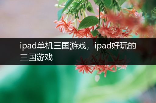 ipad单机三国游戏，ipad好玩的三国游戏