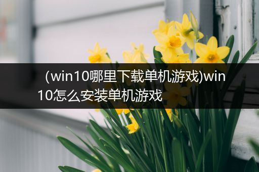 （win10哪里下载单机游戏)win10怎么安装单机游戏