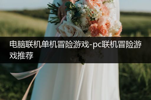 电脑联机单机冒险游戏-pc联机冒险游戏推荐