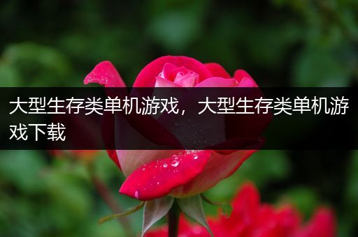大型生存类单机游戏，大型生存类单机游戏下载