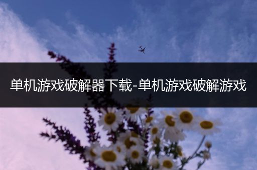 单机游戏破解器下载-单机游戏破解游戏