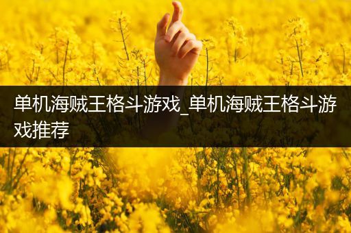 单机海贼王格斗游戏_单机海贼王格斗游戏推荐