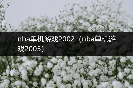 nba单机游戏2002（nba单机游戏2005）