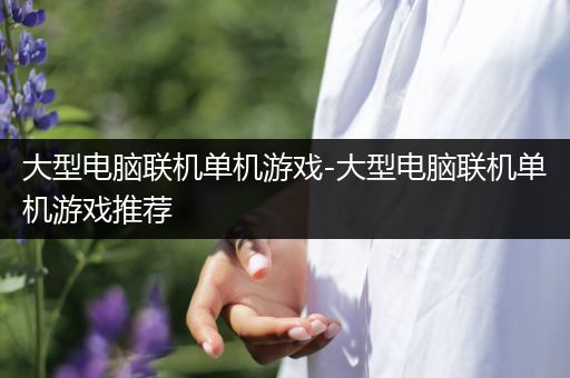 大型电脑联机单机游戏-大型电脑联机单机游戏推荐