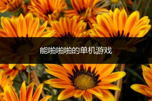 能啪啪啪的单机游戏