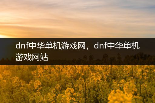 dnf中华单机游戏网，dnf中华单机游戏网站