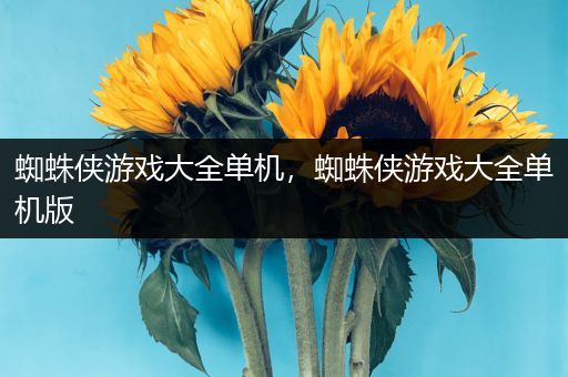 蜘蛛侠游戏大全单机，蜘蛛侠游戏大全单机版