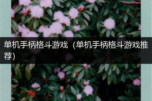 单机手柄格斗游戏（单机手柄格斗游戏推荐）