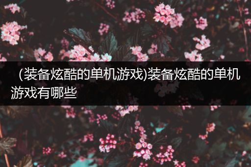（装备炫酷的单机游戏)装备炫酷的单机游戏有哪些