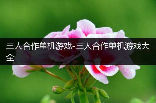 三人合作单机游戏-三人合作单机游戏大全