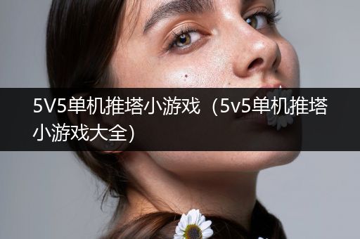 5V5单机推塔小游戏（5v5单机推塔小游戏大全）