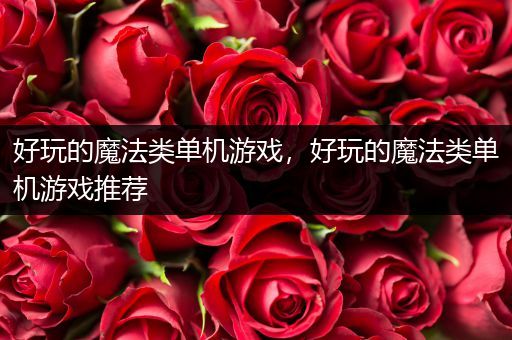 好玩的魔法类单机游戏，好玩的魔法类单机游戏推荐