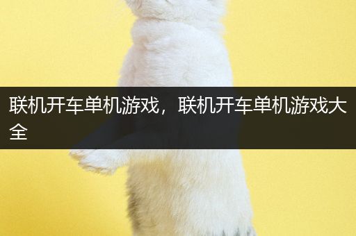 联机开车单机游戏，联机开车单机游戏大全