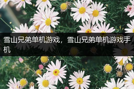 雪山兄弟单机游戏，雪山兄弟单机游戏手机