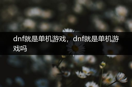 dnf就是单机游戏，dnf就是单机游戏吗