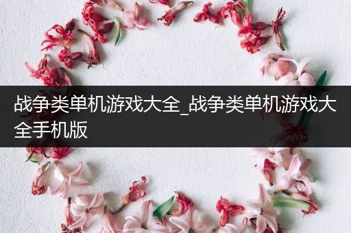 战争类单机游戏大全_战争类单机游戏大全手机版