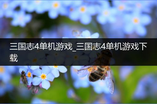 三国志4单机游戏_三国志4单机游戏下载