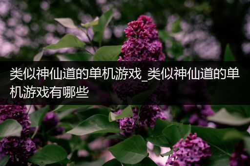 类似神仙道的单机游戏_类似神仙道的单机游戏有哪些