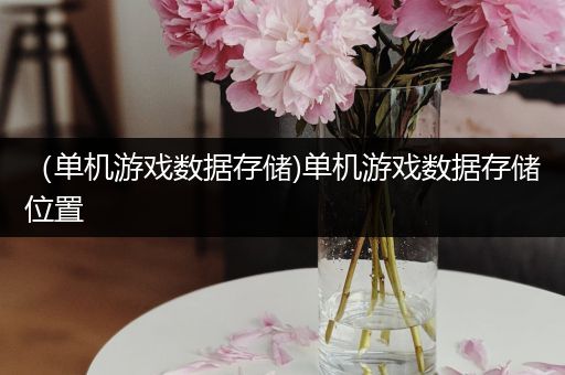 （单机游戏数据存储)单机游戏数据存储位置
