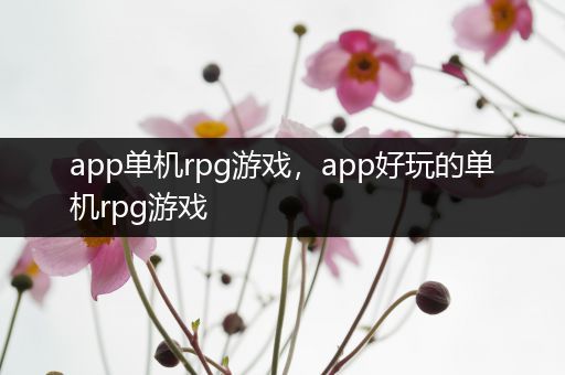 app单机rpg游戏，app好玩的单机rpg游戏