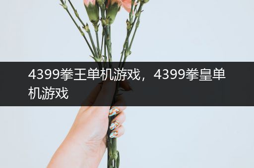 4399拳王单机游戏，4399拳皇单机游戏