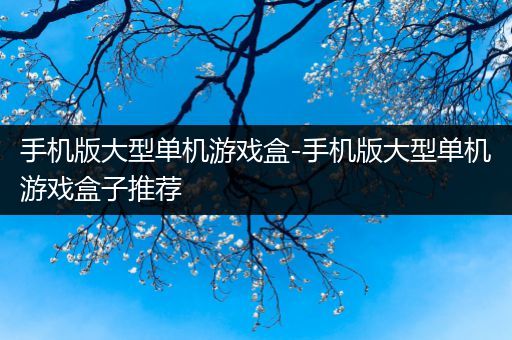 手机版大型单机游戏盒-手机版大型单机游戏盒子推荐