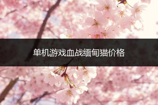 单机游戏血战缅甸猫价格