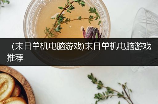（末日单机电脑游戏)末日单机电脑游戏推荐
