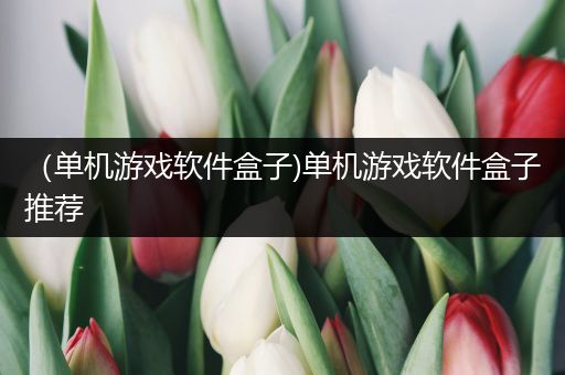 （单机游戏软件盒子)单机游戏软件盒子推荐