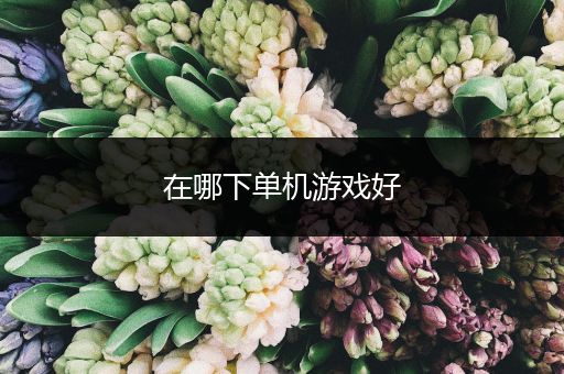 在哪下单机游戏好