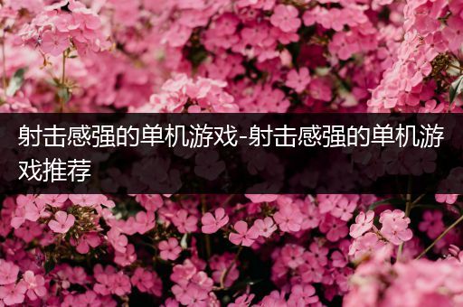 射击感强的单机游戏-射击感强的单机游戏推荐