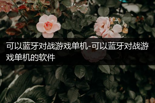 可以蓝牙对战游戏单机-可以蓝牙对战游戏单机的软件
