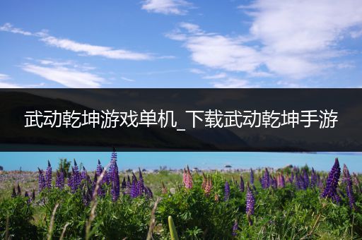 武动乾坤游戏单机_下载武动乾坤手游