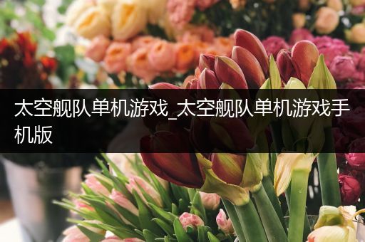 太空舰队单机游戏_太空舰队单机游戏手机版