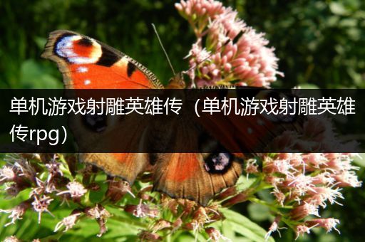 单机游戏射雕英雄传（单机游戏射雕英雄传rpg）