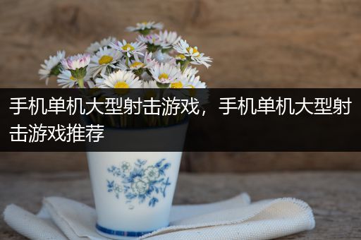 手机单机大型射击游戏，手机单机大型射击游戏推荐