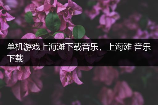 单机游戏上海滩下载音乐，上海滩 音乐下载