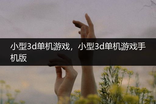 小型3d单机游戏，小型3d单机游戏手机版