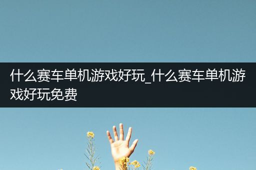 什么赛车单机游戏好玩_什么赛车单机游戏好玩免费