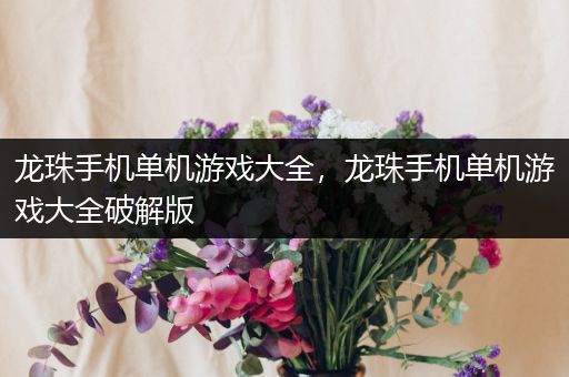 龙珠手机单机游戏大全，龙珠手机单机游戏大全破解版